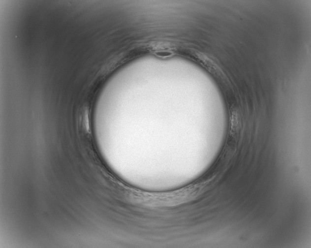 X0000074320046200609230038