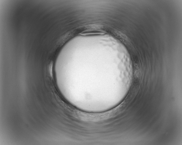 X0000074320047200609230038