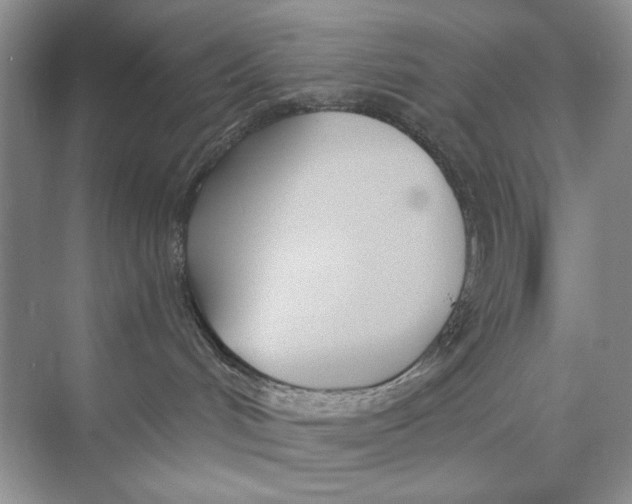 X0000074320048200609230038