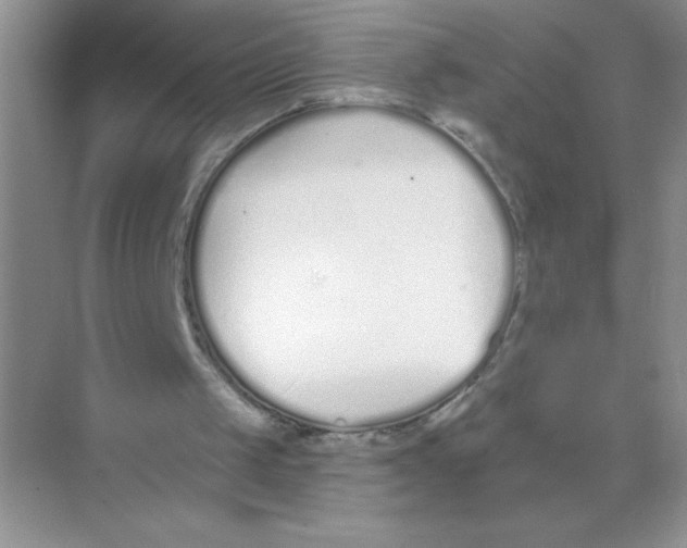 X0000074320049200609230037