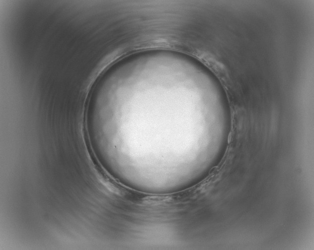 X0000074320051200609230037