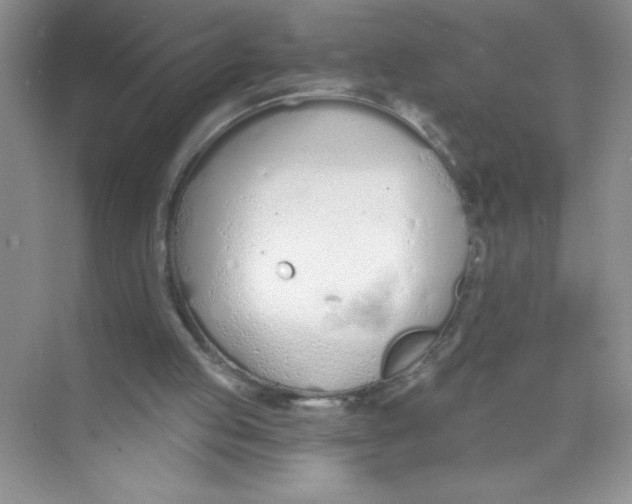 X0000074320053200609230037