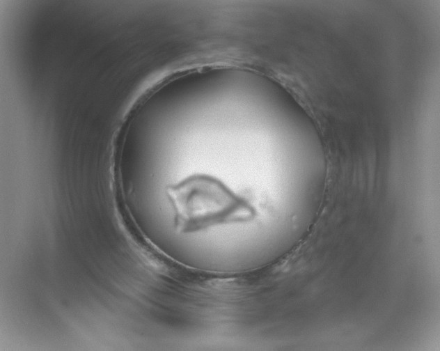 X0000074320054200609230037