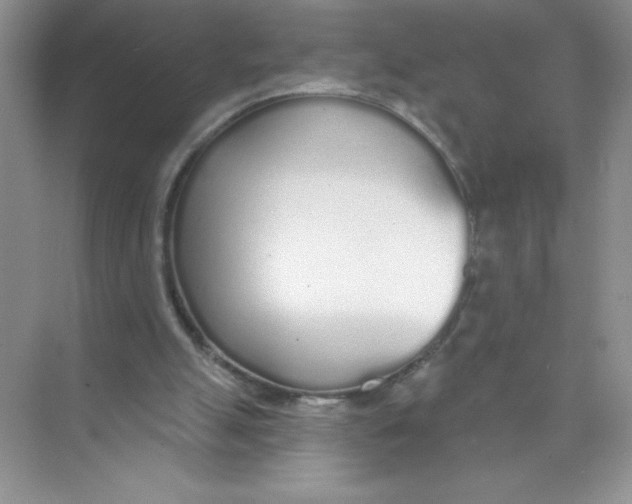 X0000074320055200609230037