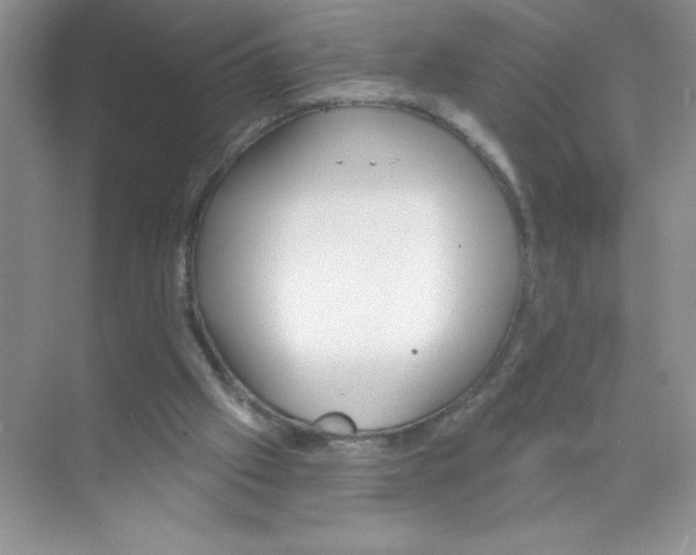 X0000074320057200609230037