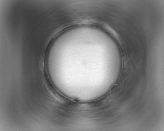 X0000074320059200609230037