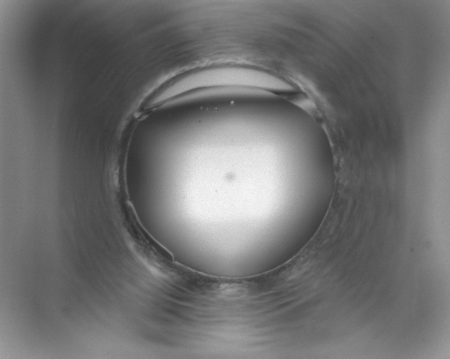 X0000074320060200609230037