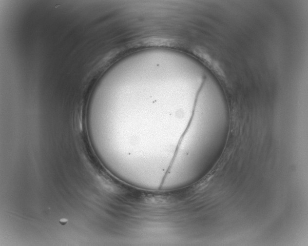 X0000074320062200609230037