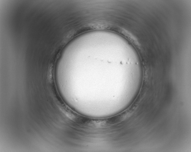 X0000074320065200609230037