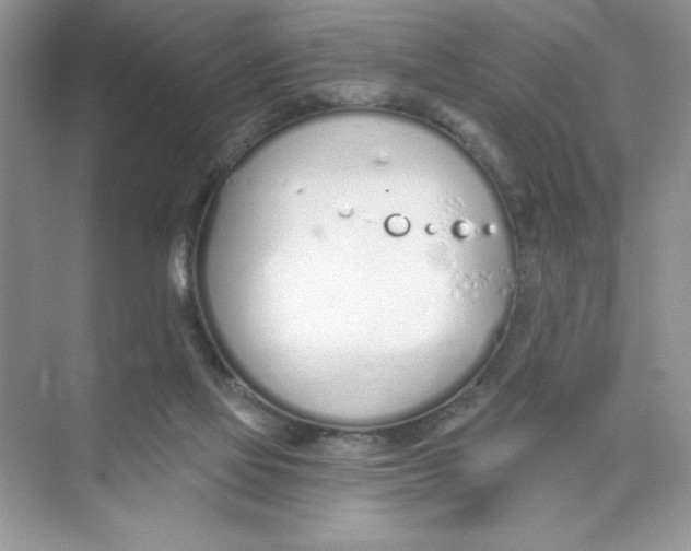 X0000074320069200609230037