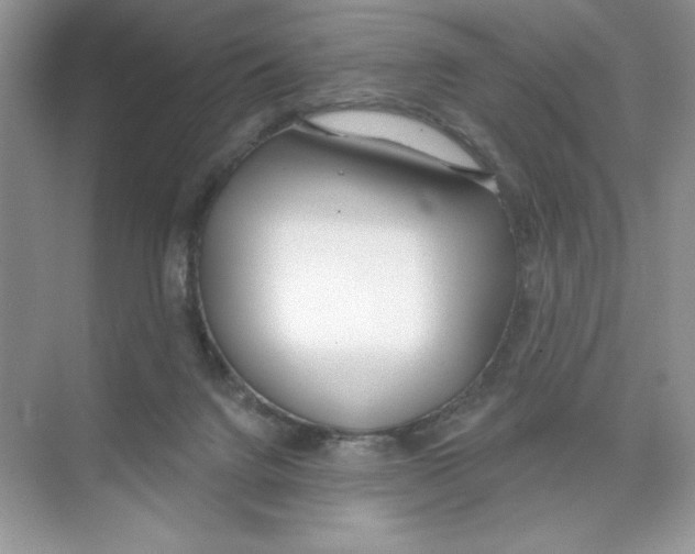 X0000074320072200609230037