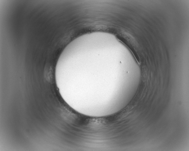 X0000074320077200609230037