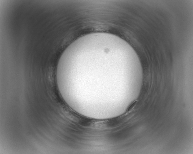 X0000074320078200609230037