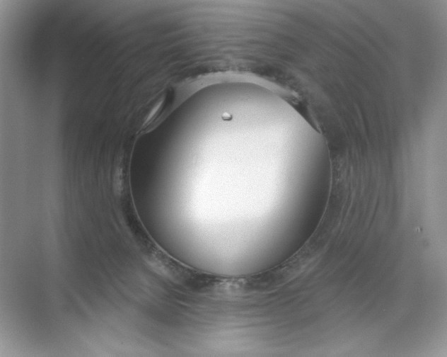 X0000074320080200609230037