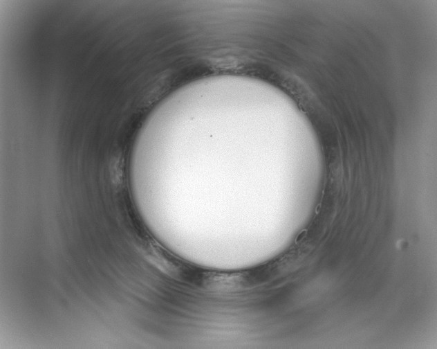 X0000074320081200609230037