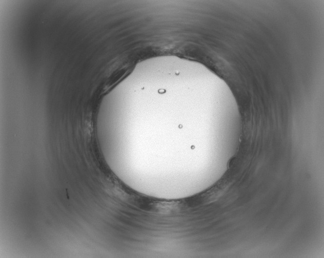 X0000074320085200609230037