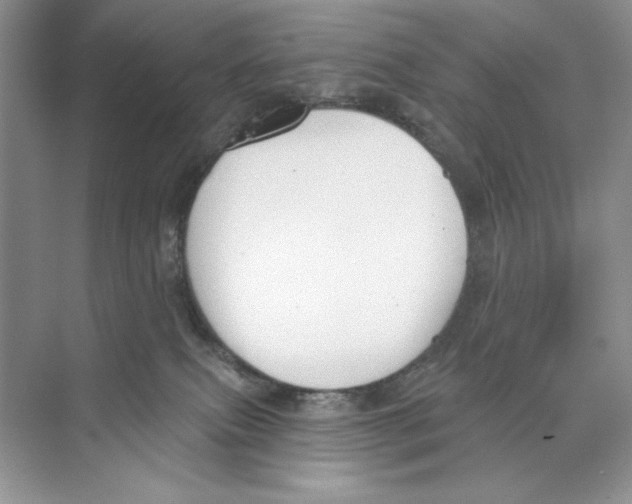 X0000074320087200609230037