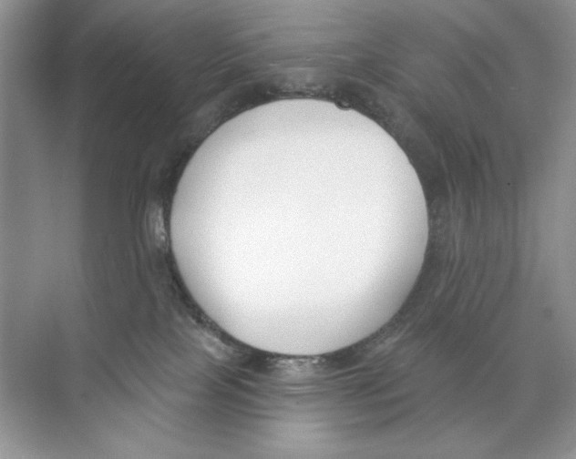 X0000074320089200609230037