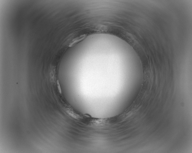 X0000074320092200609230038