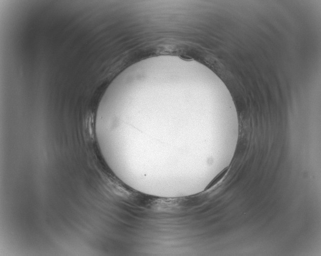 X0000074320094200609230038