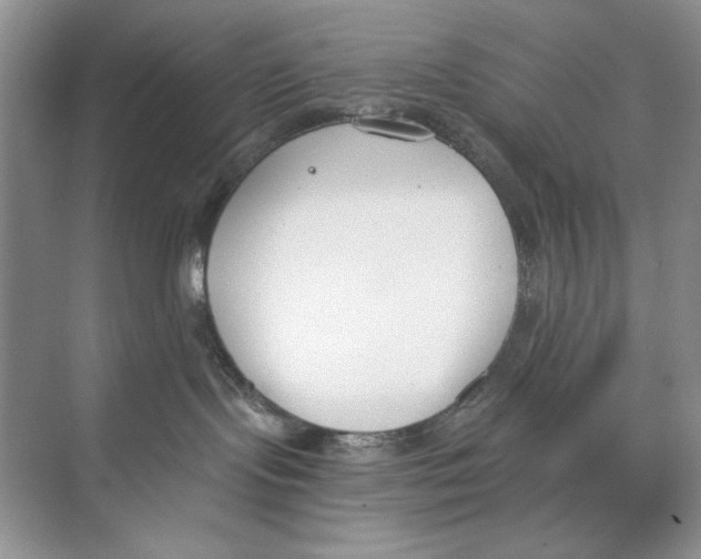 X0000074320095200609230038