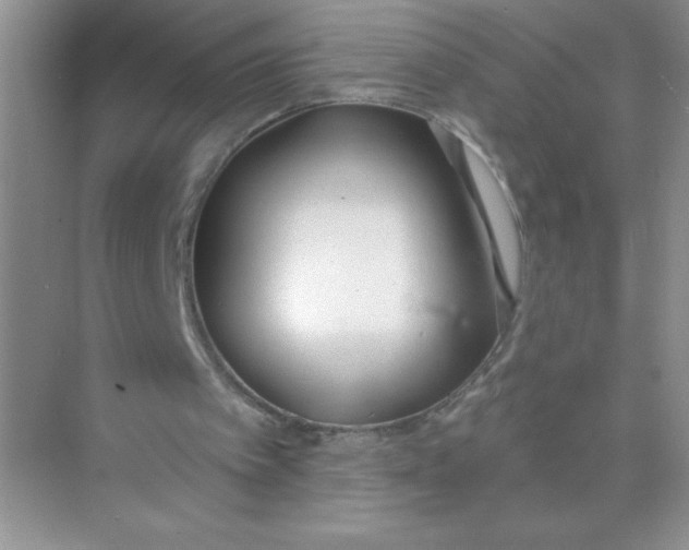 X0000074320097200609230037