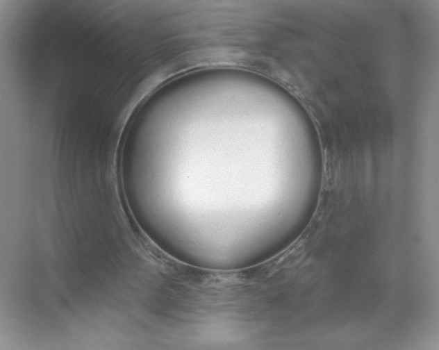 X0000074320099200609230037