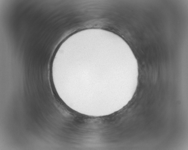 X0000074320100200609230037