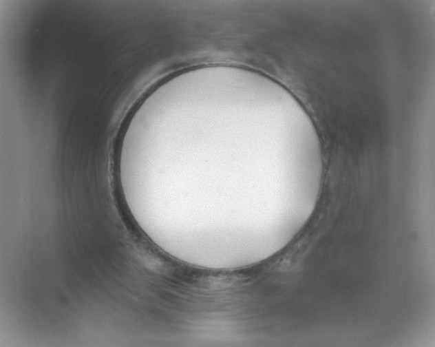 X0000074320103200609230037