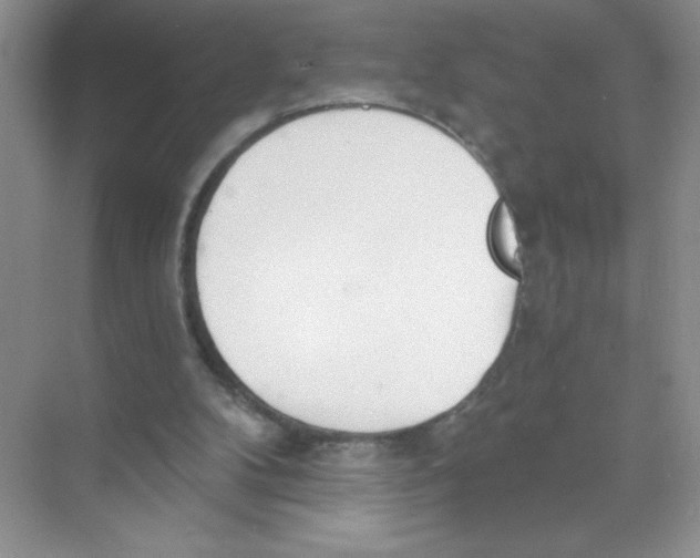 X0000074320104200609230037