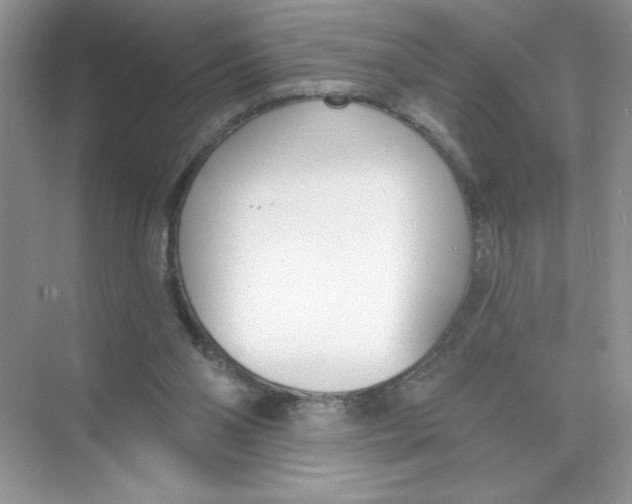 X0000074320110200609230037