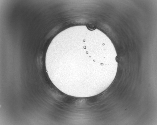 X0000074320116200609230036