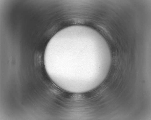 X0000074320123200609230036