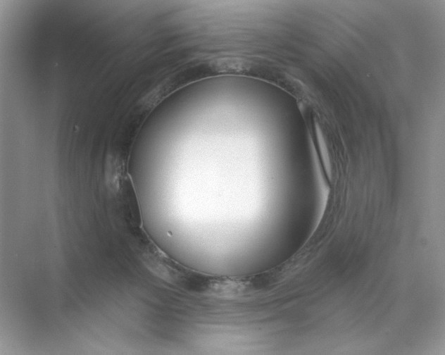 X0000074320125200609230036