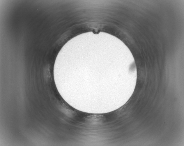 X0000074320128200609230036