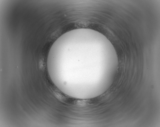 X0000074320134200609230036