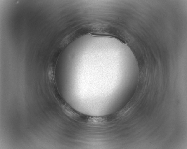 X0000074320137200609230036