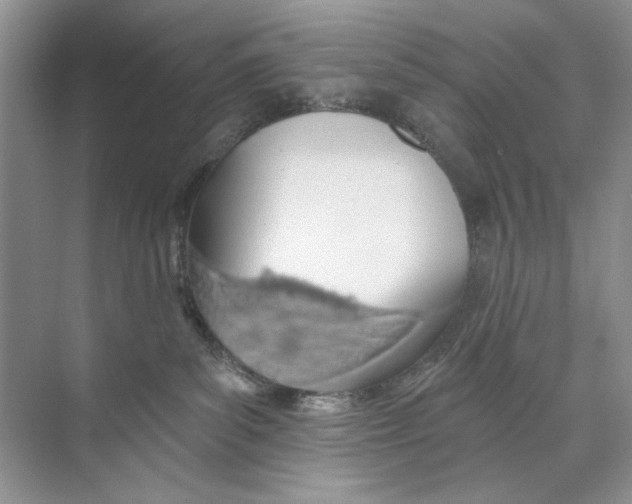 X0000074320139200609230036