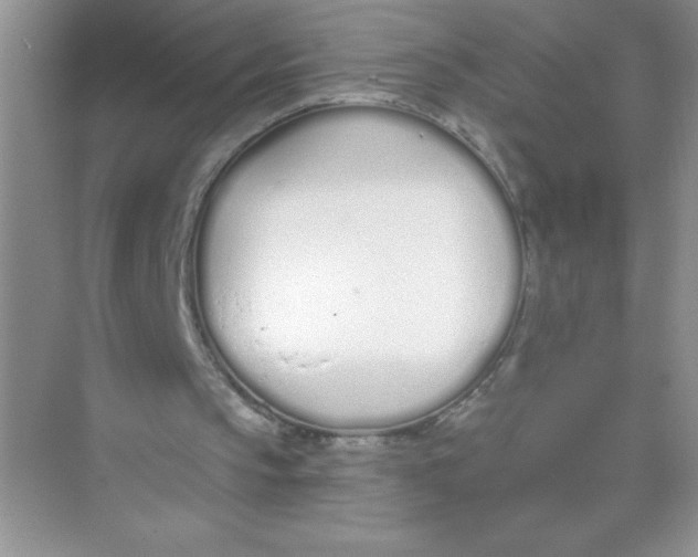 X0000074320145200609230035