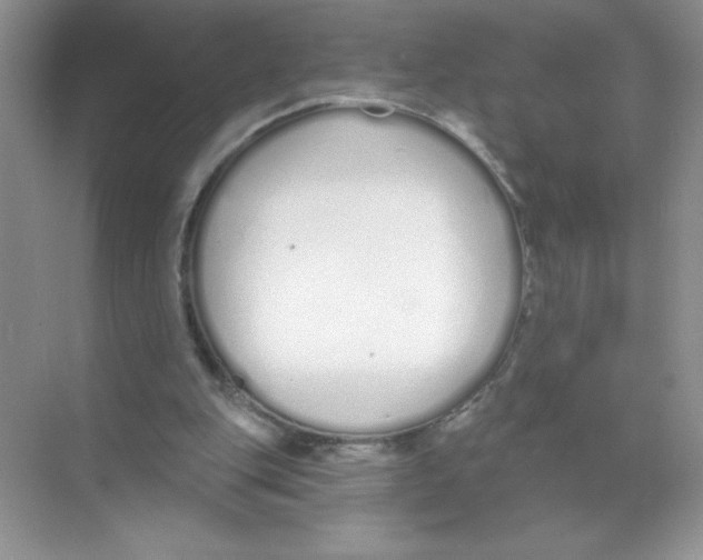 X0000074320151200609230035