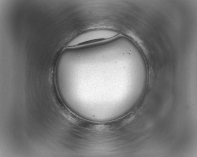 X0000074320153200609230035