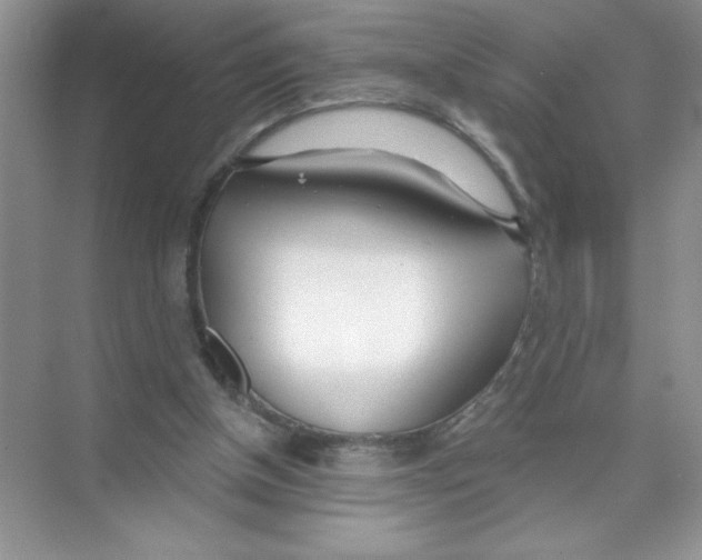 X0000074320154200609230035