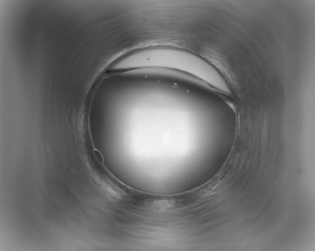 X0000074320156200609230035