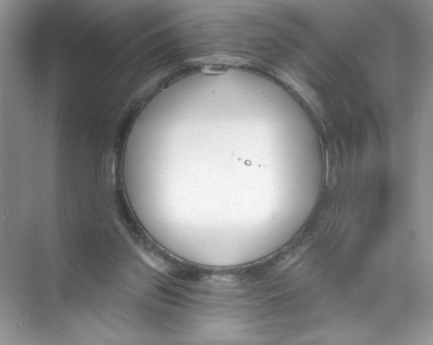 X0000074320157200609230035