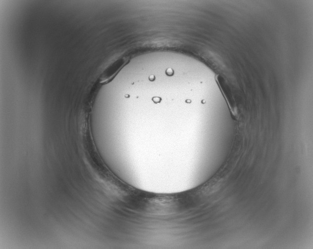 X0000074320164200609230036