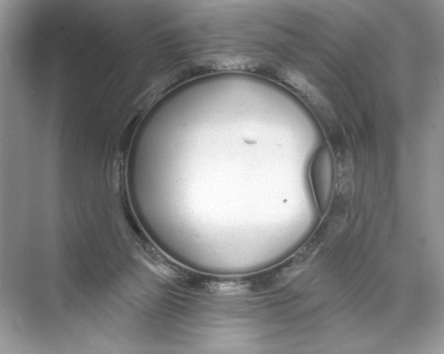 X0000074320165200609230036