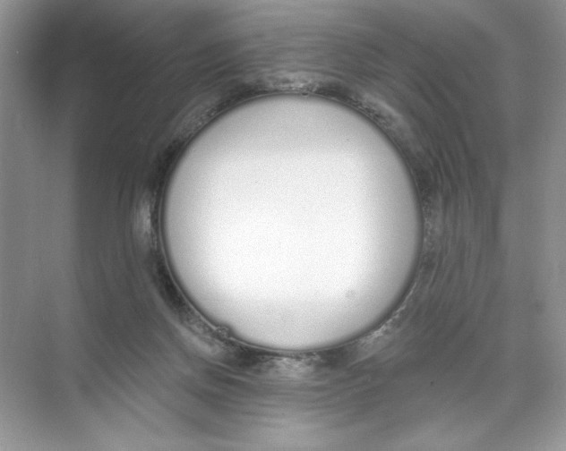 X0000074320166200609230036