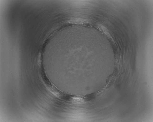 X0000074320167200609230036