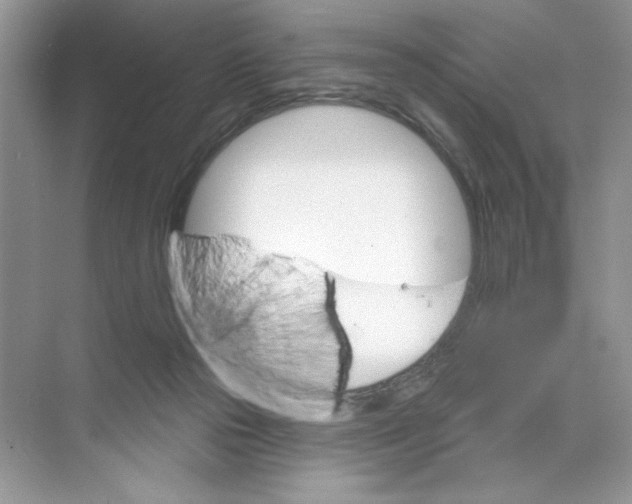 X0000074320169200609230036