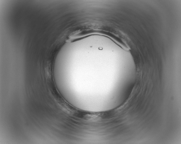 X0000074320170200609230036